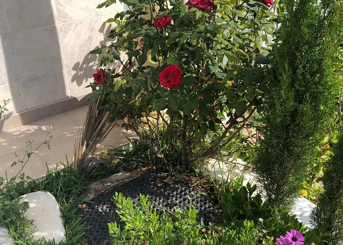 Stella Blanca 24b * Fuengirola