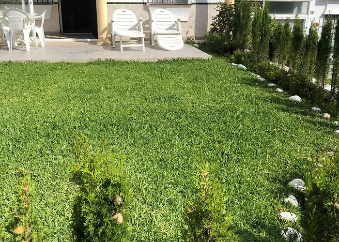 Stella Blanca 24b * フエンヒロラ