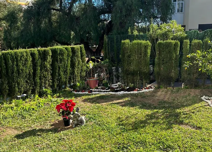 アパート Stella Blanca 24b